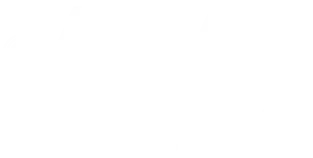 Logotipo Viral Max